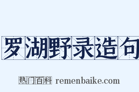 罗湖野录造句是什么意思的图片